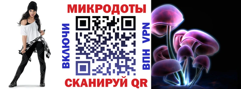 Псилоцибиновые грибы Psilocybe  Шацк 